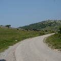 MIL06798