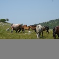 MIL06802 1