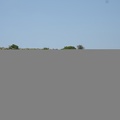 MIL06804