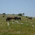 MIL06804 2