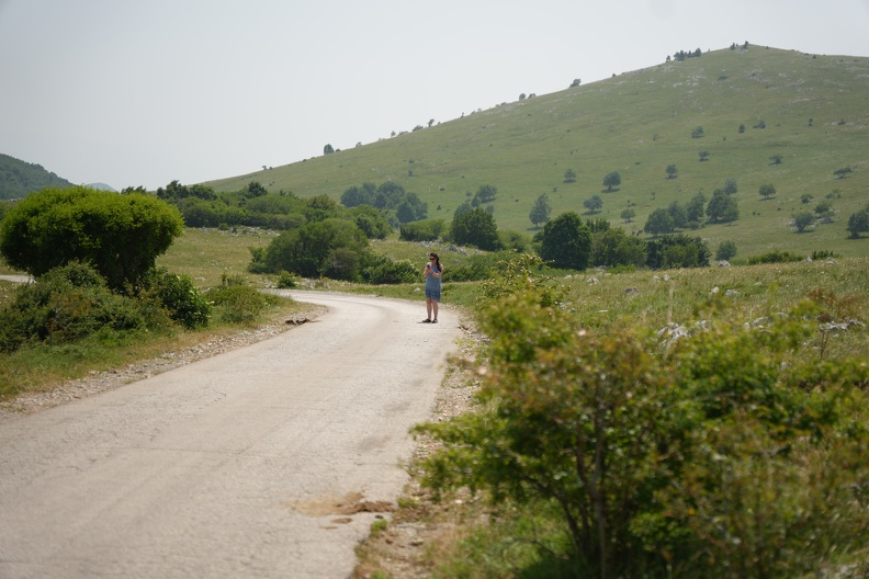 MIL06809.JPG