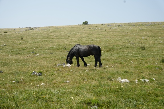 MIL06853