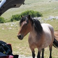 MIL06903