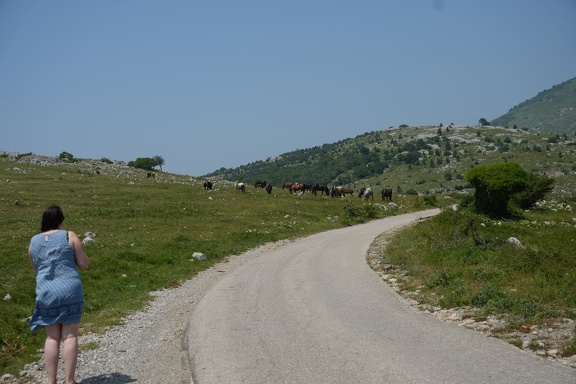 MIL06798