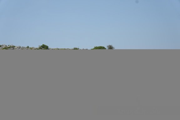 MIL06804